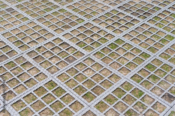 Fototapeta Square concrete and Square grass. sidewalk lawn.
