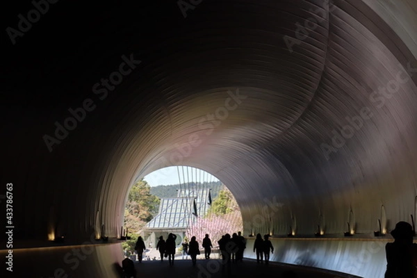 Obraz 桜トンネル