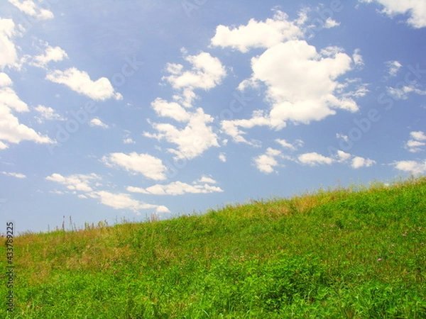 Fototapeta 雑草の茂る初夏の江戸川土手風景