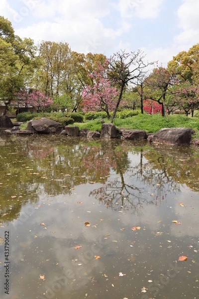 Obraz 桜リフレクション