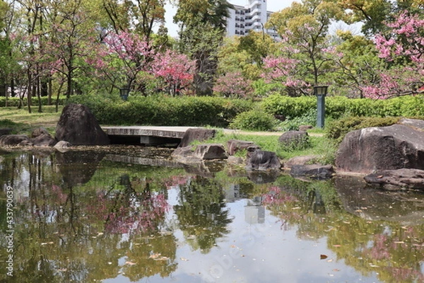 Obraz 桜リフレクション