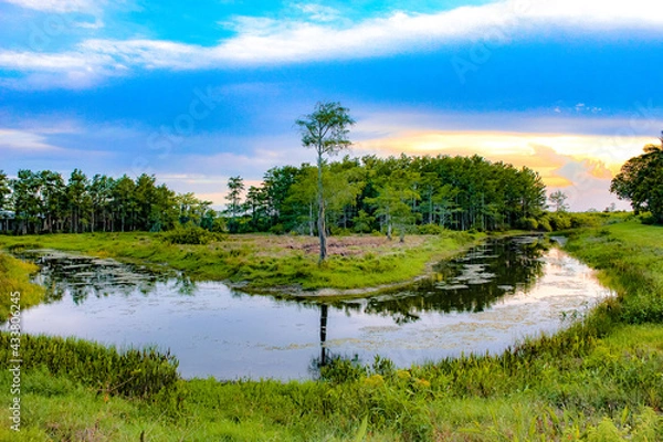 Obraz sunset in the swamp refecting in the river