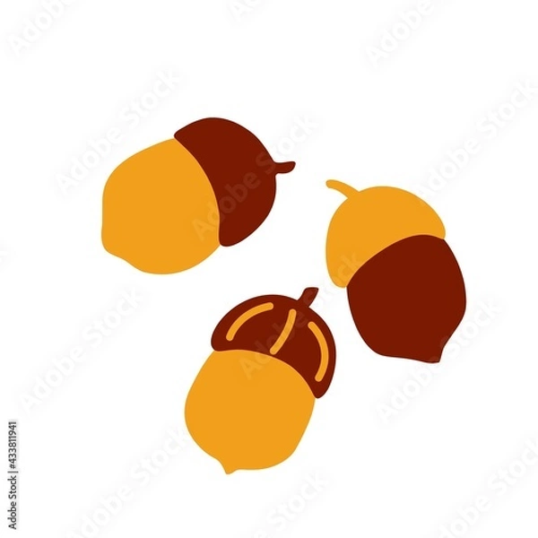 Fototapeta Autumn acorns. Vector flat illustration on an isolated white background. Autumn decor, background element for printing, packaging and greeting cards.
