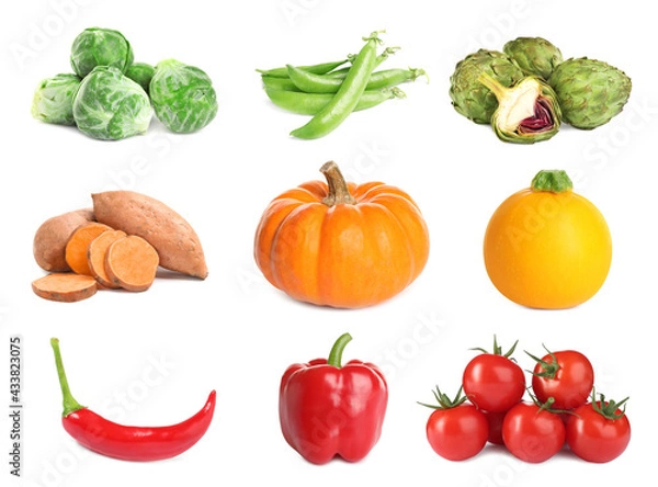 Fototapeta Collection of different fresh vegetables on white background