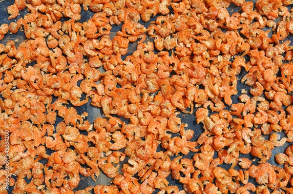 Obraz dried shrimp