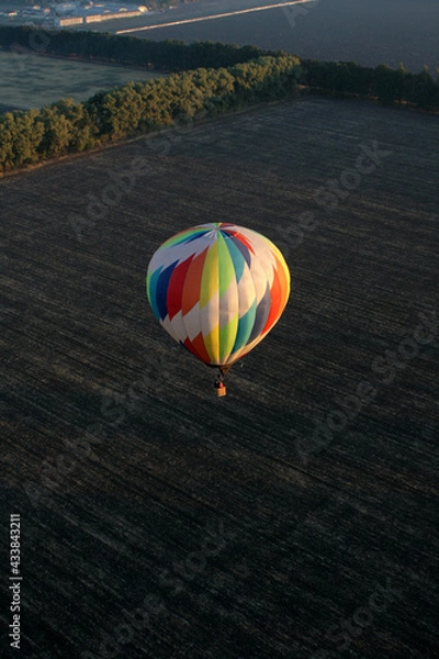 Obraz Single air hot balloon above fields