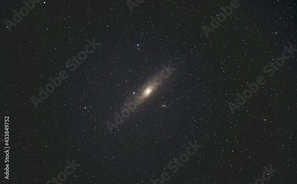 Fototapeta 夏の夜空のアンドロメダ銀河