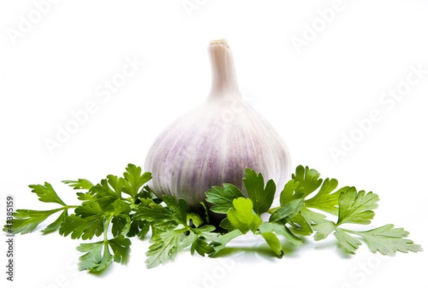 Fototapeta parsley and garlic on an isolated background