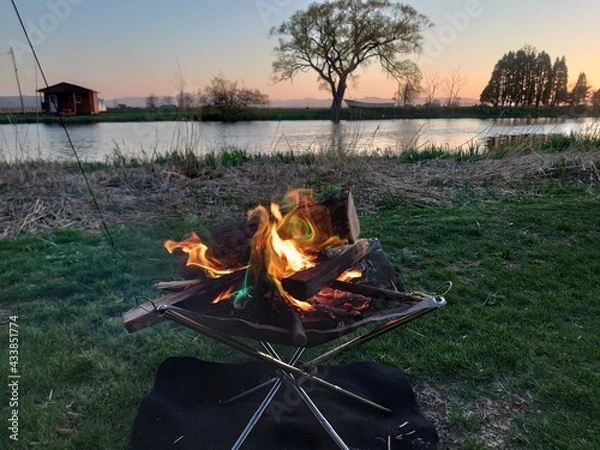 Obraz fire in the forest