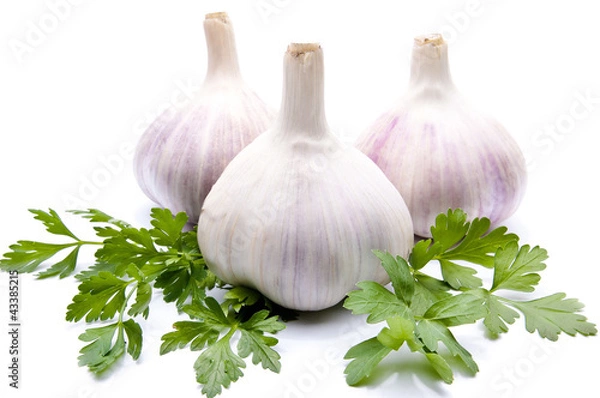 Fototapeta parsley and garlic on an isolated background