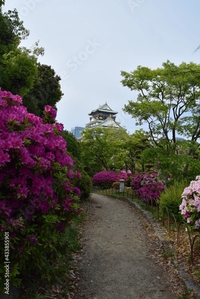 Fototapeta 大阪城天守閣