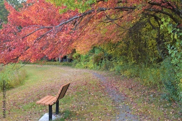 Fototapeta Empty park bench under fall foliage 