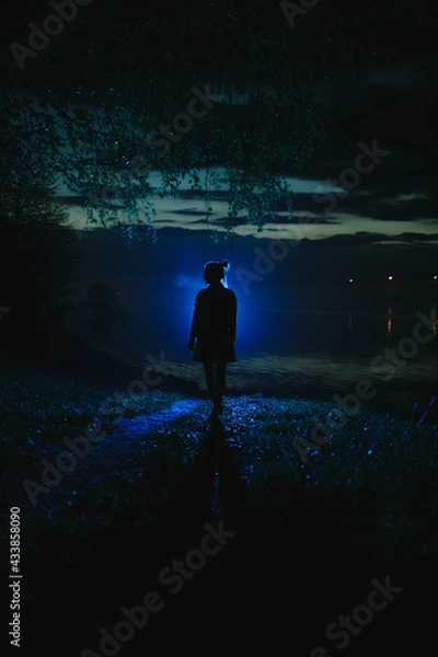 Obraz Silhouette of a girl at night.