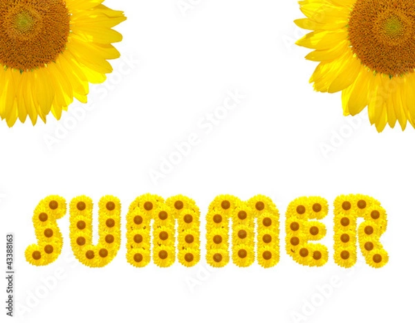 Obraz Summer Text made with sunflowers isolated