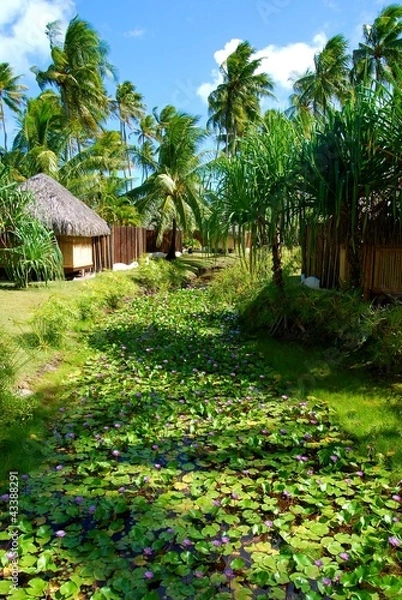 Obraz Jardin Bora Bora