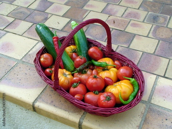 Obraz Légumes du jardin