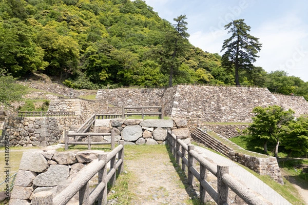 Fototapeta 鳥取城の表御門跡