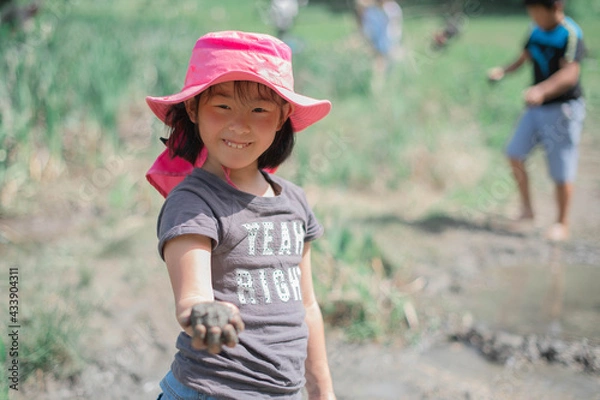 Obraz どろだんごどうぞ