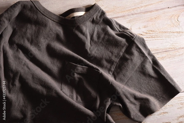 Obraz 無地のTシャツ