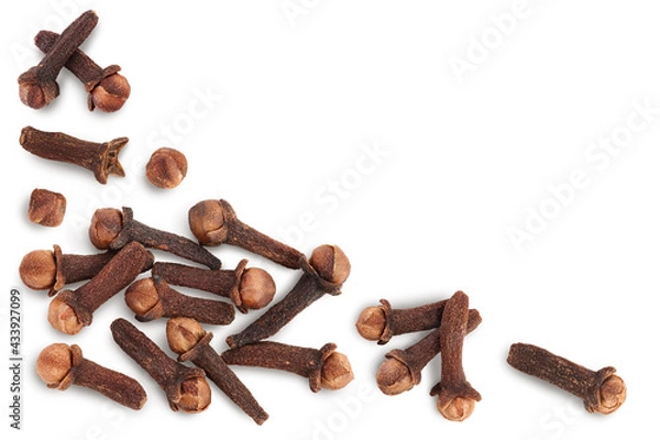 Fototapeta Dry spice cloves isolated on white background with clipping path. Top view. Flat lay