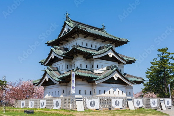 Fototapeta 【青森県】弘前城天守と桜
