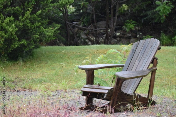 Obraz bench in the park