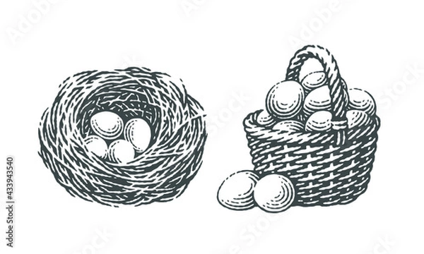 Fototapeta Forest, farm, chicken, bird nest with four eggs into it and basket with eggs.
Hand drawn engraving vintage style vector illustrations.
