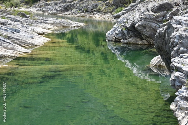 Obraz Swimming the water