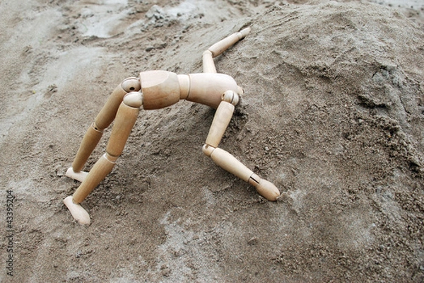 Obraz Vogel Strauß l.