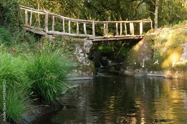 Obraz Puente de madera