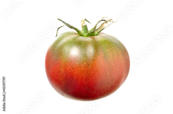 Obraz Black Krim tomato