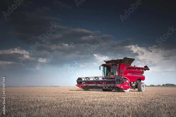 Fototapeta Mechanized harvesting of grain in an agricultural field. Bright, evening, summer landscape with a combine harvester. Idyllic rural background, wallpaper, design. Selective, soft focus. Tinted photo.
