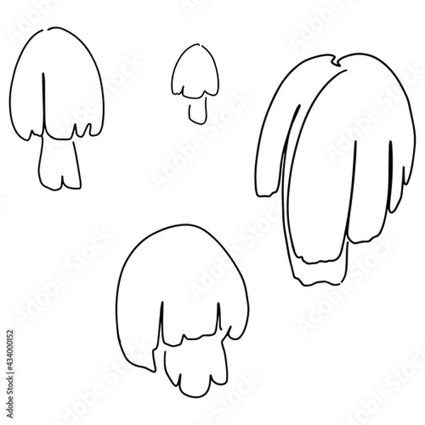 Fototapeta hand drawn Line art monoline flowers . Vector illustration
