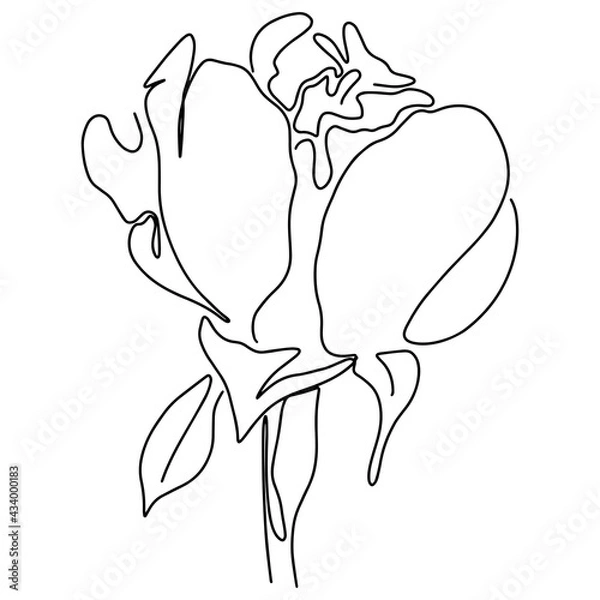 Fototapeta hand drawn Line art monoline flowers . Vector illustration