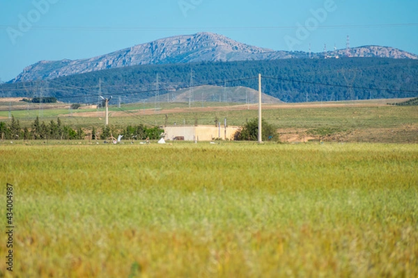 Fototapeta scenic views of Houses, green fields and mountains from the  Aures region in Batna, Algeria