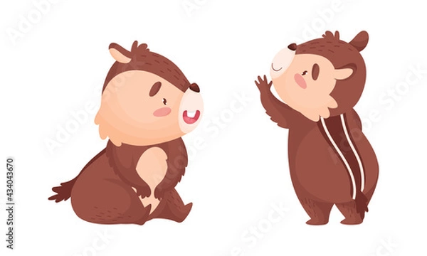 Obraz Cartoon Chipmunk with Striped Back Sitting and Standing Vector Set