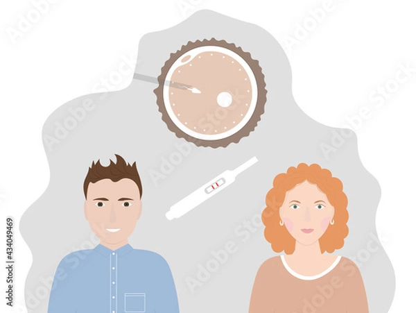 Fototapeta Artificial insemination with modern technology. Problem with reproduction.