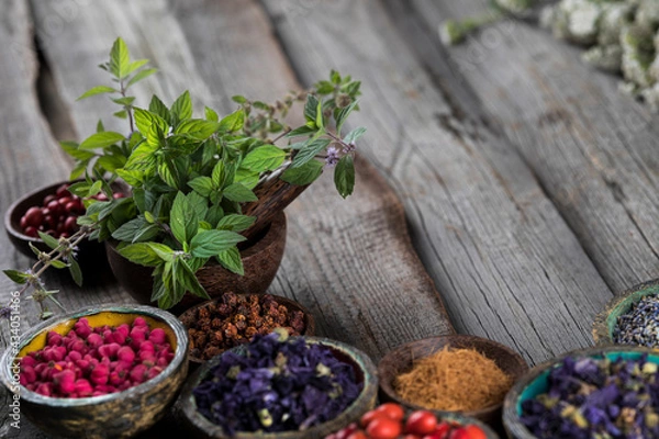 Obraz Natural remedy, mortar and herbs, space for your text