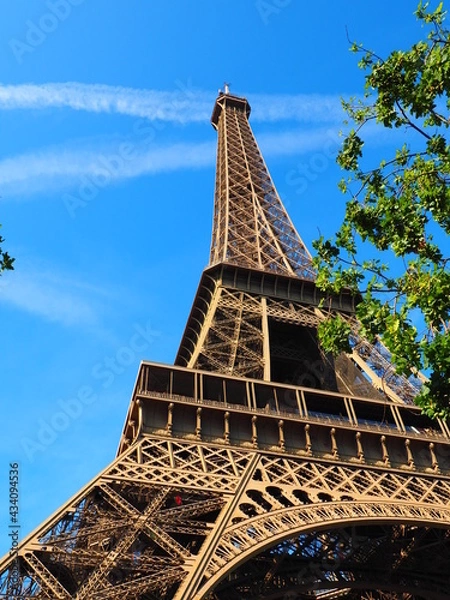 Obraz OLYMPUS DIGITAL CAMERA