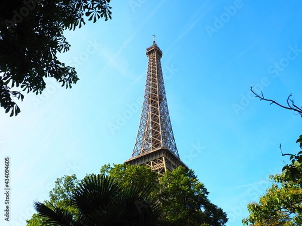 Obraz OLYMPUS DIGITAL CAMERA