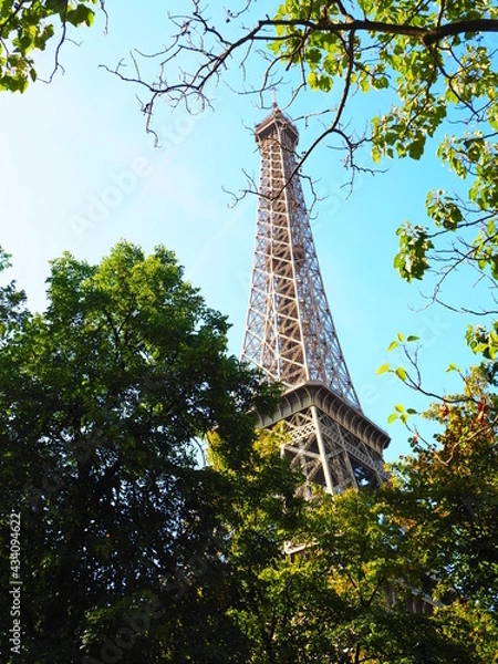 Obraz OLYMPUS DIGITAL CAMERA