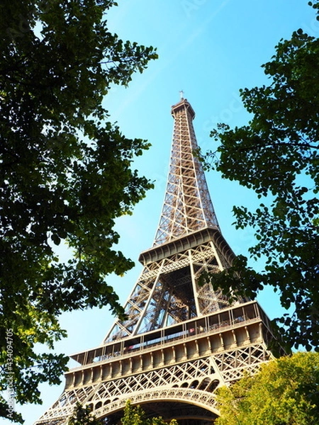 Obraz OLYMPUS DIGITAL CAMERA