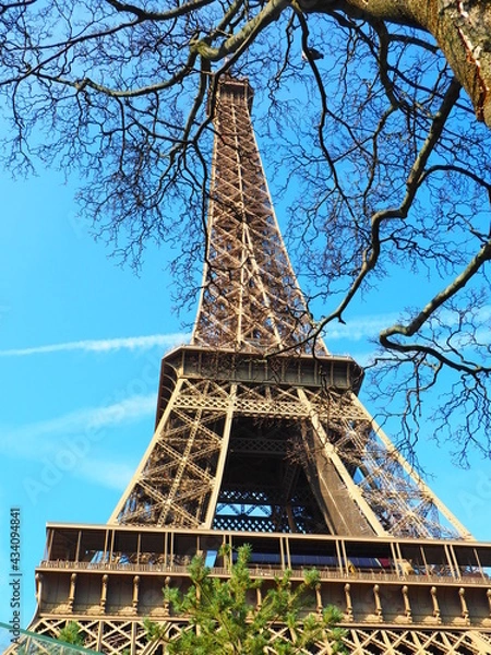 Obraz OLYMPUS DIGITAL CAMERA