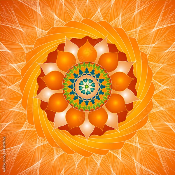 Obraz Magnetic Mandala