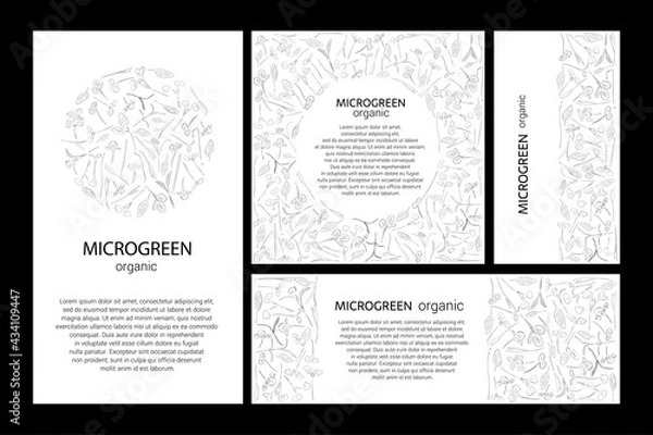 Fototapeta Set of vector graphic frames and templates with microgreens. Herbs - peas, sunflowers, onions, corn, basil, porcelain rose, spinach, salad, collaby, barley, tatsoy on a white background