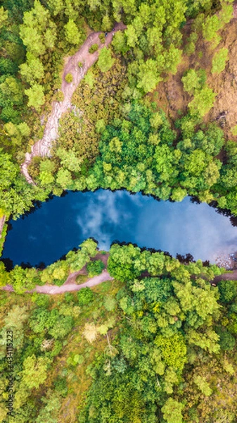 Obraz Forêt de Brocéliande