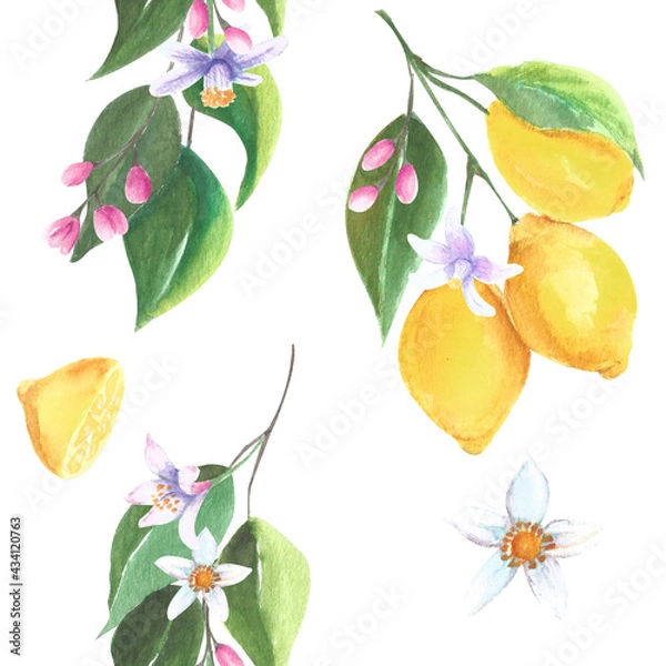 Obraz watercolor lemon branch with blossoms pattern | seamless  | seamless pattern with fruits | spring summer pattern