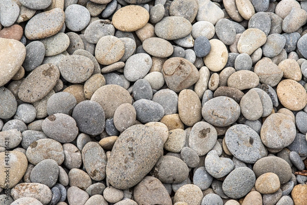 Fototapeta background of rounded stones