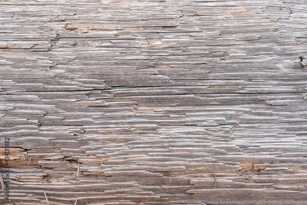 Fototapeta weathered old wood texture