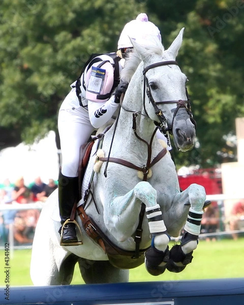 Fototapeta Jumping Pole